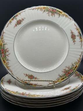 myott staffordshire Dinner Plates Tropical Flowers Crazing